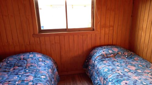 Curacautin Apartamento | Cabañas curacautin