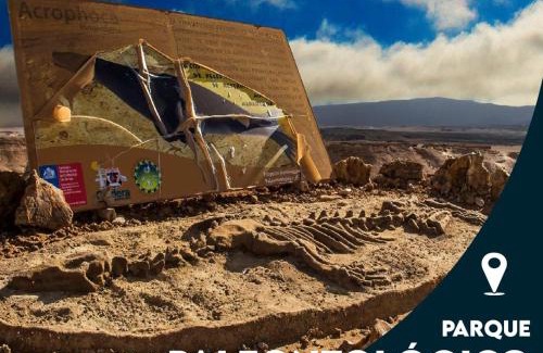 Bahia Inglesa Cabina | Cabañas Ecologicas Alto Cañizares