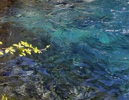 Pucon Casa | Cabañas el Mañio, a pasos de Ojos del Caburgua y playa Caburgua