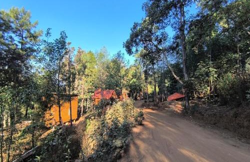 San Jose del Pacifico Chalet De Esquí | Cabañas en el Bosque de San José del Pacífico 5