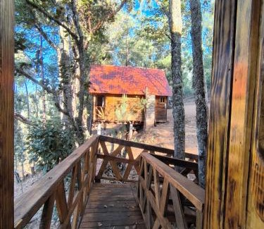 San Jose del Pacifico Chalet De Esquí | Cabañas en el Bosque de San José del Pacífico 5