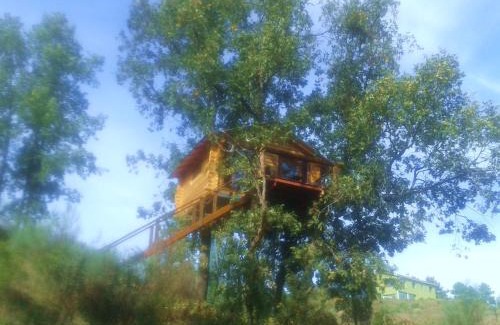 Villasbuenas de Gata Otro | Cabañas en los Árboles de Extremadura