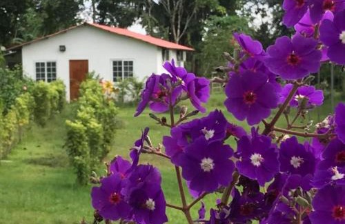 Panama Oeste Province Casa | Cabañas Finca Campestre