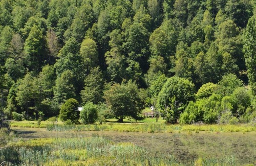 Pucon Chalet De Esquí | Cabañas Flor de Loto Pucón