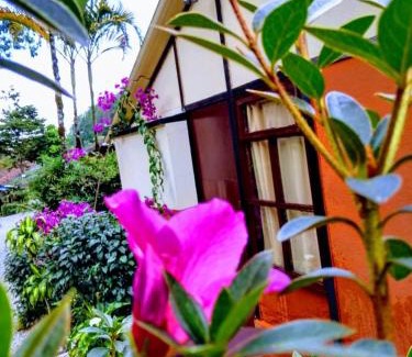El Penol Chalet De Esquí | Cabañas La Honda