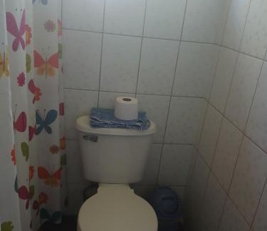 Salto del Laja Apartamento | Cabañas La Palmera Saltos del Laja