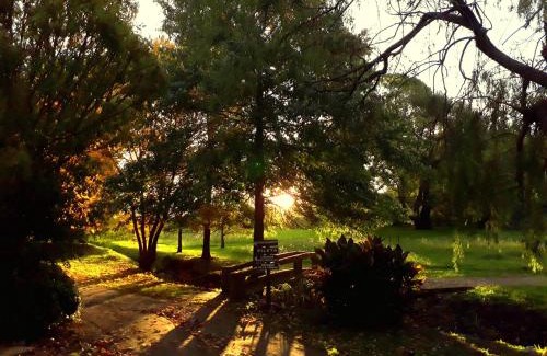 Tandil Cabina | Cabañas Las Dinas
