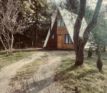 Loncoche Chalet De Esquí | Cabañas Los Avellanos