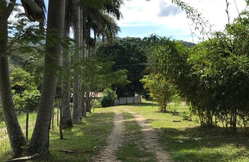 Palenque Casa | Cabañas Maya Rue
