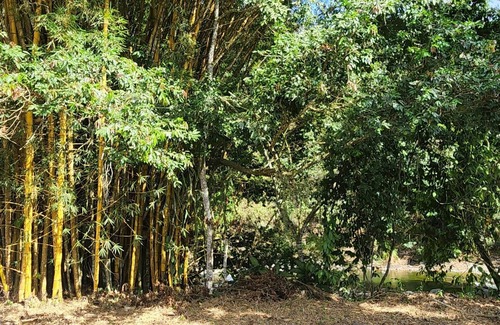 San Isidro de El General Cabina | Cabañas para descanso Oso Perezoso