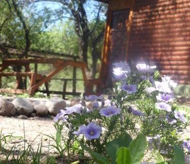 Ischilin Casa | Cabañas PLÉYADES