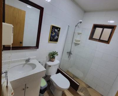 Pucon Apartamento | Cabañas Torres Del Bosque