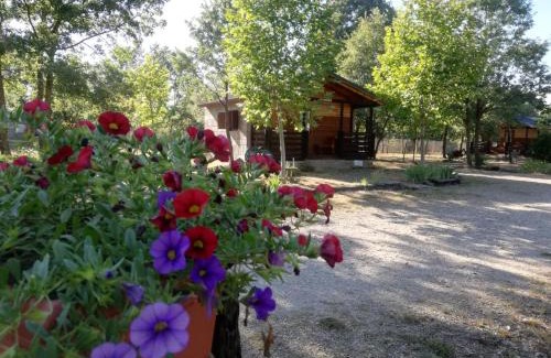 Manzanal de los Infantes Casa | Cabañas Vallecino