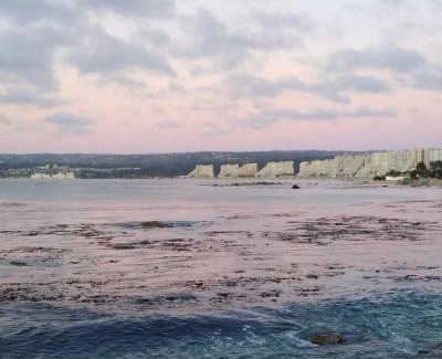 El Quisco Otro | Cabañas VistaBosque de Algarrobo