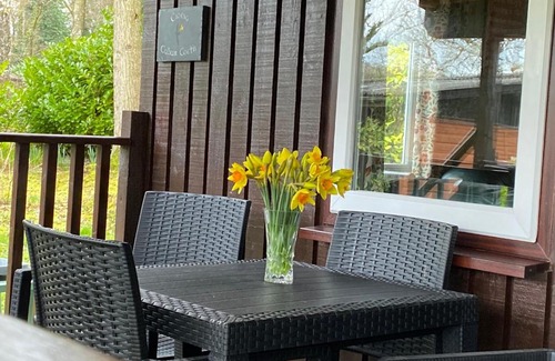 Cenarth Casa | Caban Coetir