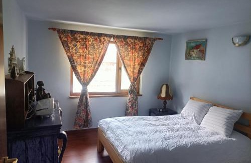 Cosbuc Casa | Cabana Țibleș Bichigiu