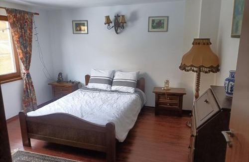 Cosbuc Casa | Cabana Țibleș Bichigiu