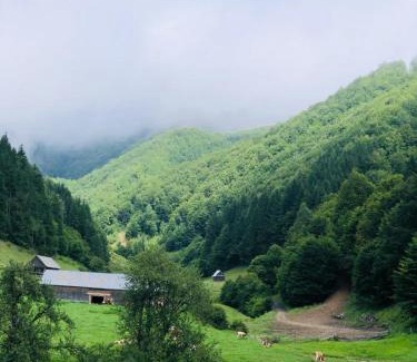 Cosbuc Casa | Cabana Țibleș Bichigiu