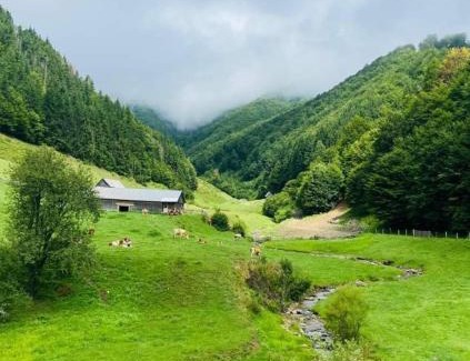 Cosbuc Casa | Cabana Țibleș Bichigiu