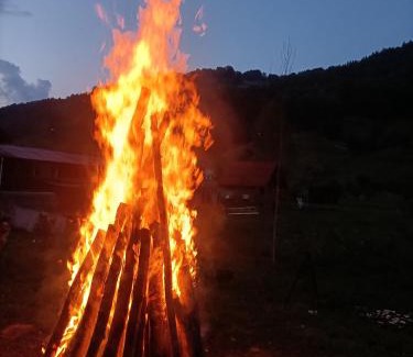 Cosbuc Casa | Cabana Țibleș Bichigiu