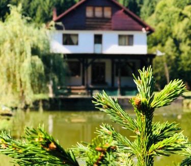 Cosbuc Casa | Cabana Țibleș