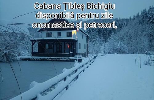 Cosbuc Casa | Cabana Țibleș
