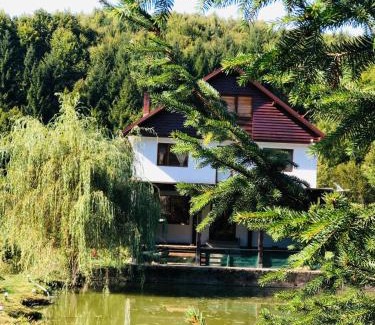 Cosbuc Casa | Cabana Țibleș
