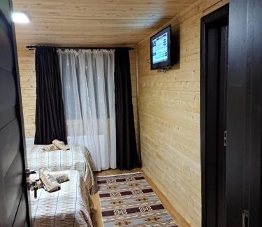 Baia Mare Cabina | Cabana Alpha