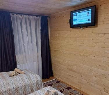 Baia Mare Cabina | Cabana Alpha