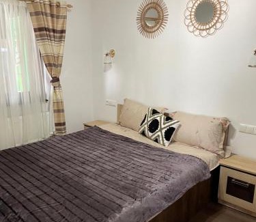 Beclean Casa | Cabana Amelie Baile Figa