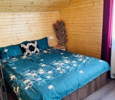 Beclean Casa | Cabana Amelie Baile Figa
