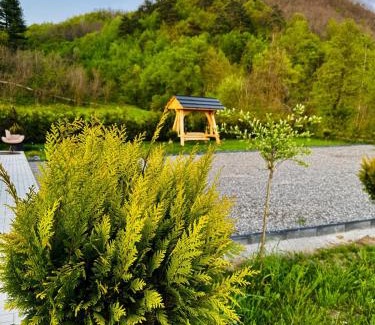 Nanesti Chalet De Esquí | Cabana Ana Barsana