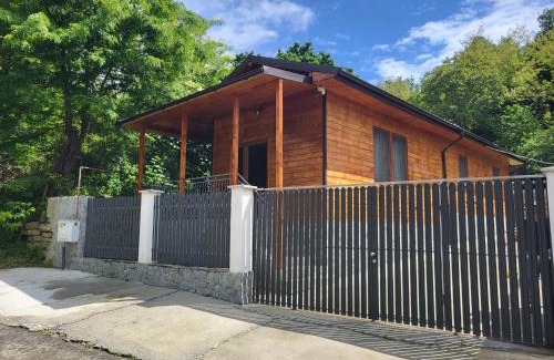 Calimanesti Casa | Cabana Beta