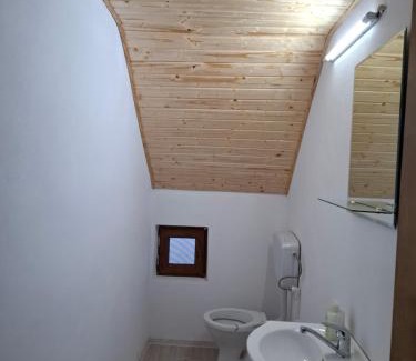 Teregova Casa | Cabana Bradu Moșului