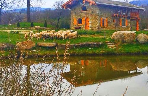Desesti Cabina | Cabana Casa de Piatra, de la Mara