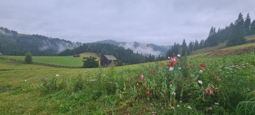 Cozanesti Chalet De Esquí | CABANA CEITREI - MOUNTAIN VIEW GIUMALAU