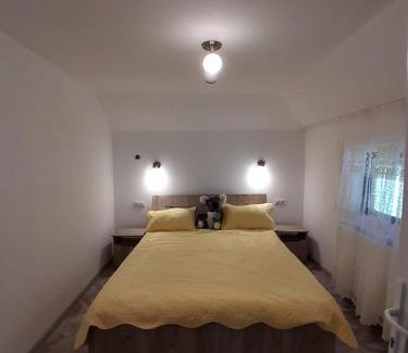 Garda de Sus Casa | Cabana cosmina și milan