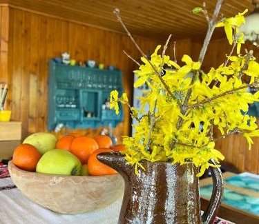 Brebu Nou Casa | Cabana Craiu Garana