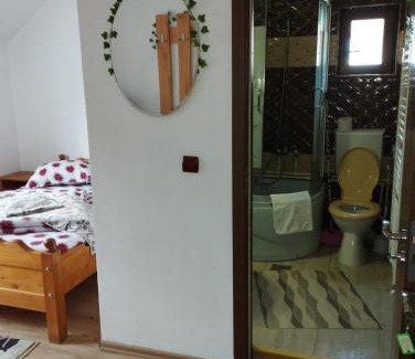 Arieseni Cabina | Cabana Dănuțza