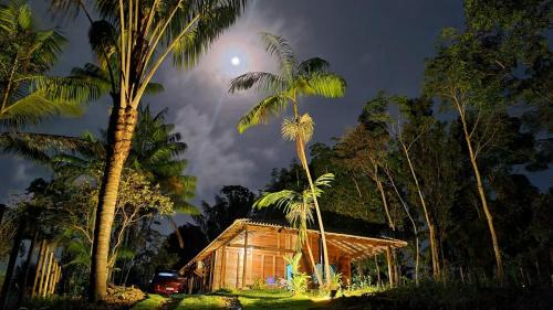 Itacare Casa | Cabana das Mandalas