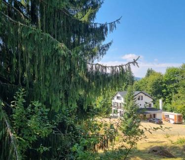 Colibita Casa | Cabana de închiriat la Colibița Straciorul