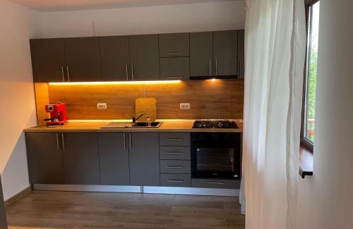 Salatrucel Chalet De Esquí | Cabana din Livada, Călimănești
