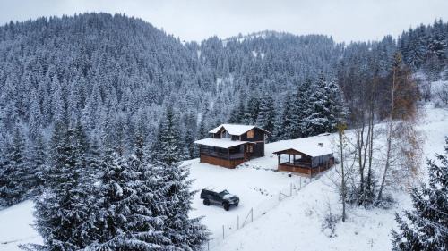Borsa Chalet De Esquí | Cabana din Munți