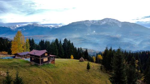 Borsa Chalet De Esquí | Cabana din Munți
