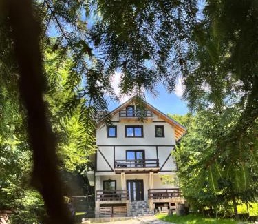 Porumbacu de Jos Casa | Cabana din Pădure
