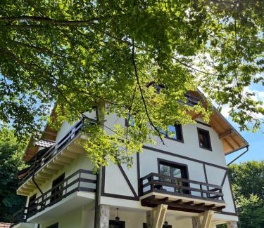 Porumbacu de Jos Casa | Cabana din Pădure