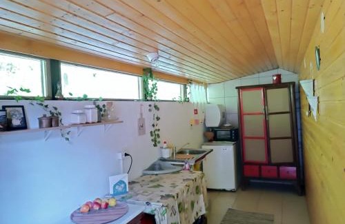 Lunca Bradului Chalet De Esquí | Cabana din padure