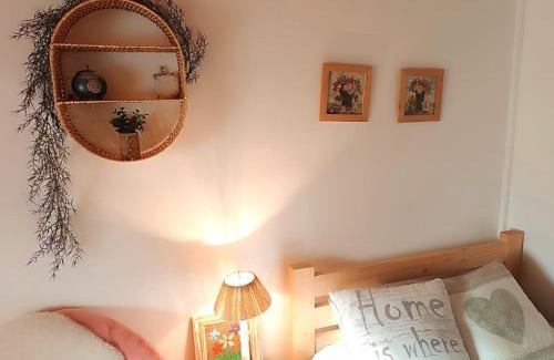 Lunca Bradului Chalet De Esquí | Cabana din padure