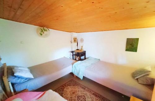 Lunca Bradului Chalet De Esquí | Cabana din padure