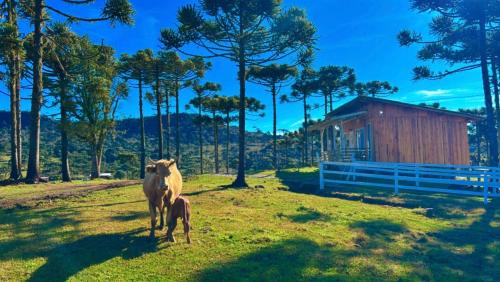 Urubici Chalet De Esquí | Cabana Fazenda Borba
